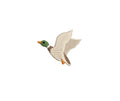 Mini Flying Mallard Duck (single) PES DST JEF ++ Machine Embroidery Design, 4 Sizes, Instant Download